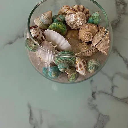 Avrora Apartman Várna