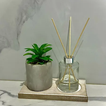 Apartman Avrora Várna